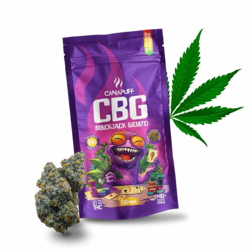 CBG ziedi „Blackjack Gelato“ 69%