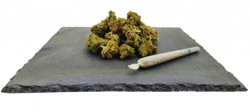 Amnesia Haze CBD svars: 1g